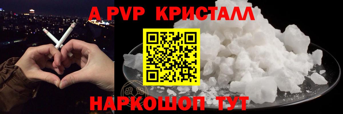 A-PVP СК Новочеркасск